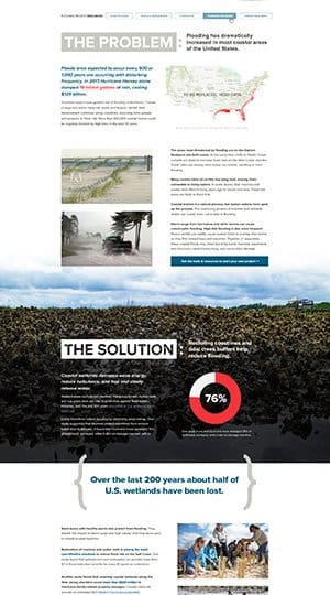 Raleigh Marketing Agency Work Examples of Web Design