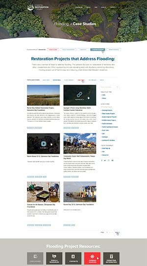 Web Design Web UX Example