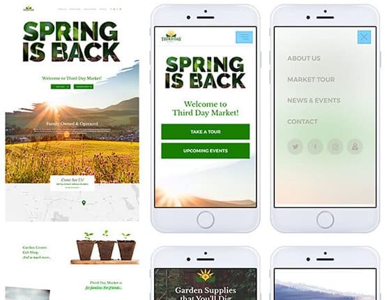 raleigh web design example