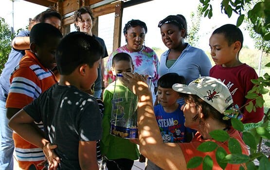 Raleigh Web Design for NC Museum Project