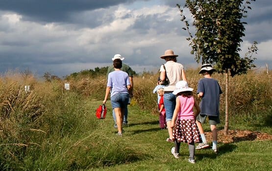 Raleigh Web Design for NC Museum Project