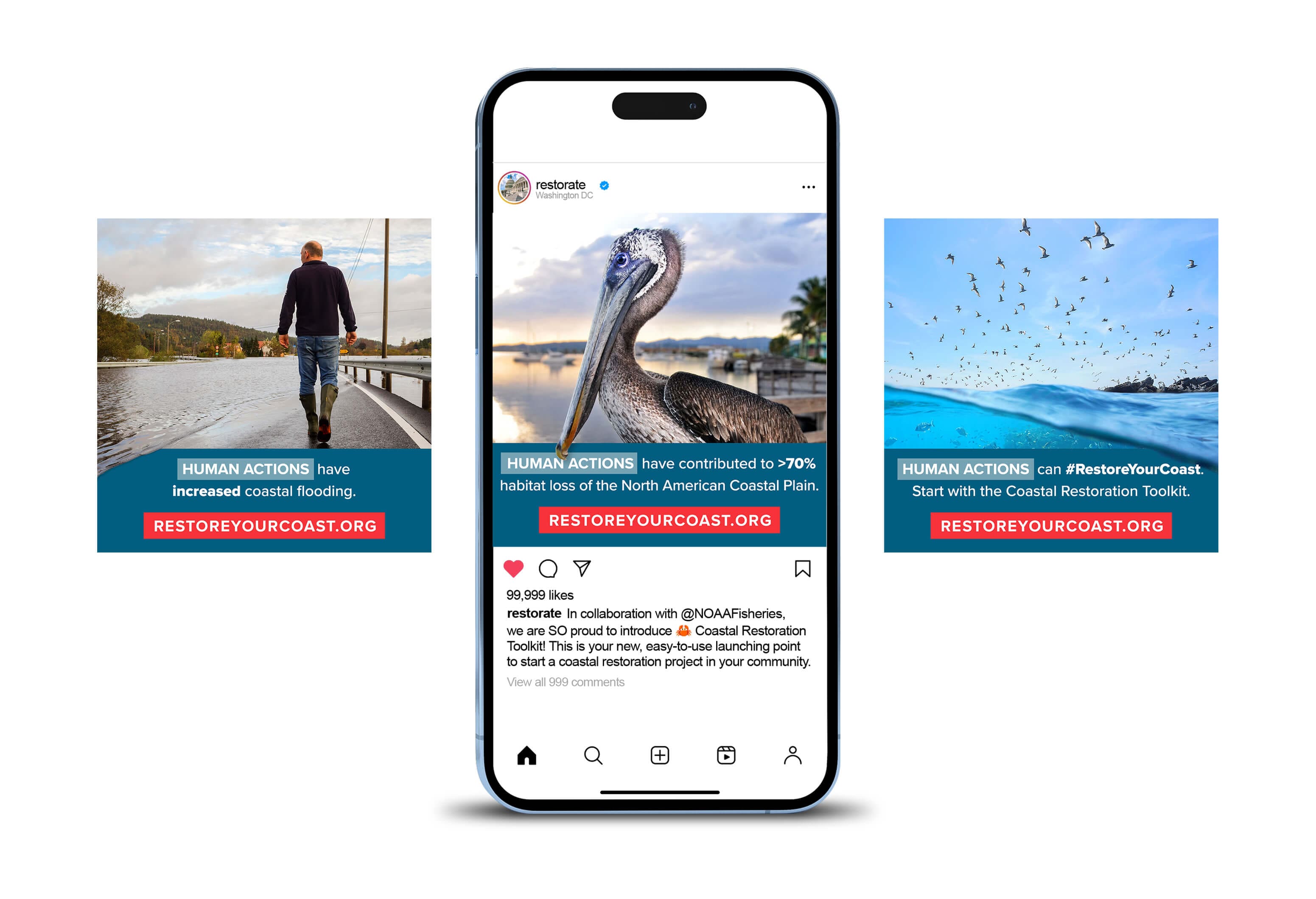 Social Media Campaign