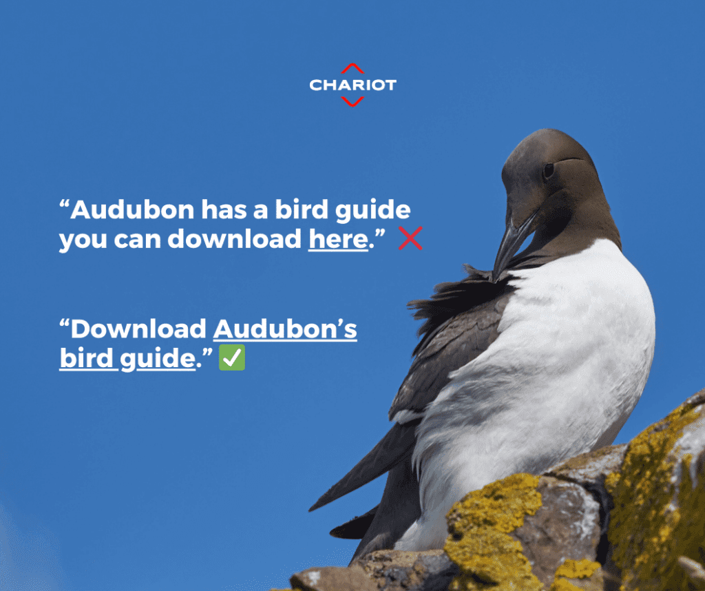 Guillemot bird photo with text over blue sky that shows example of good anchor text and active voice and bad anchor text and passive voice.