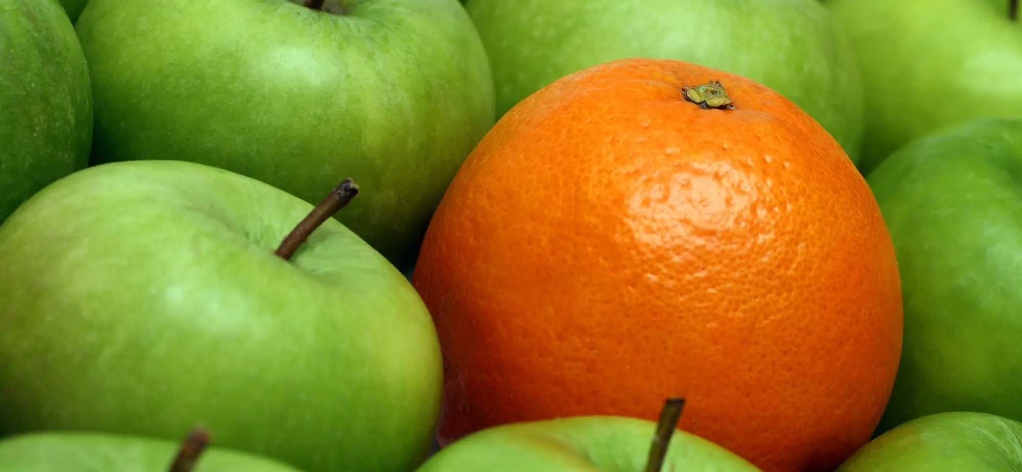1 orange among many apples for marketing agency vs in-house marketing team comparison