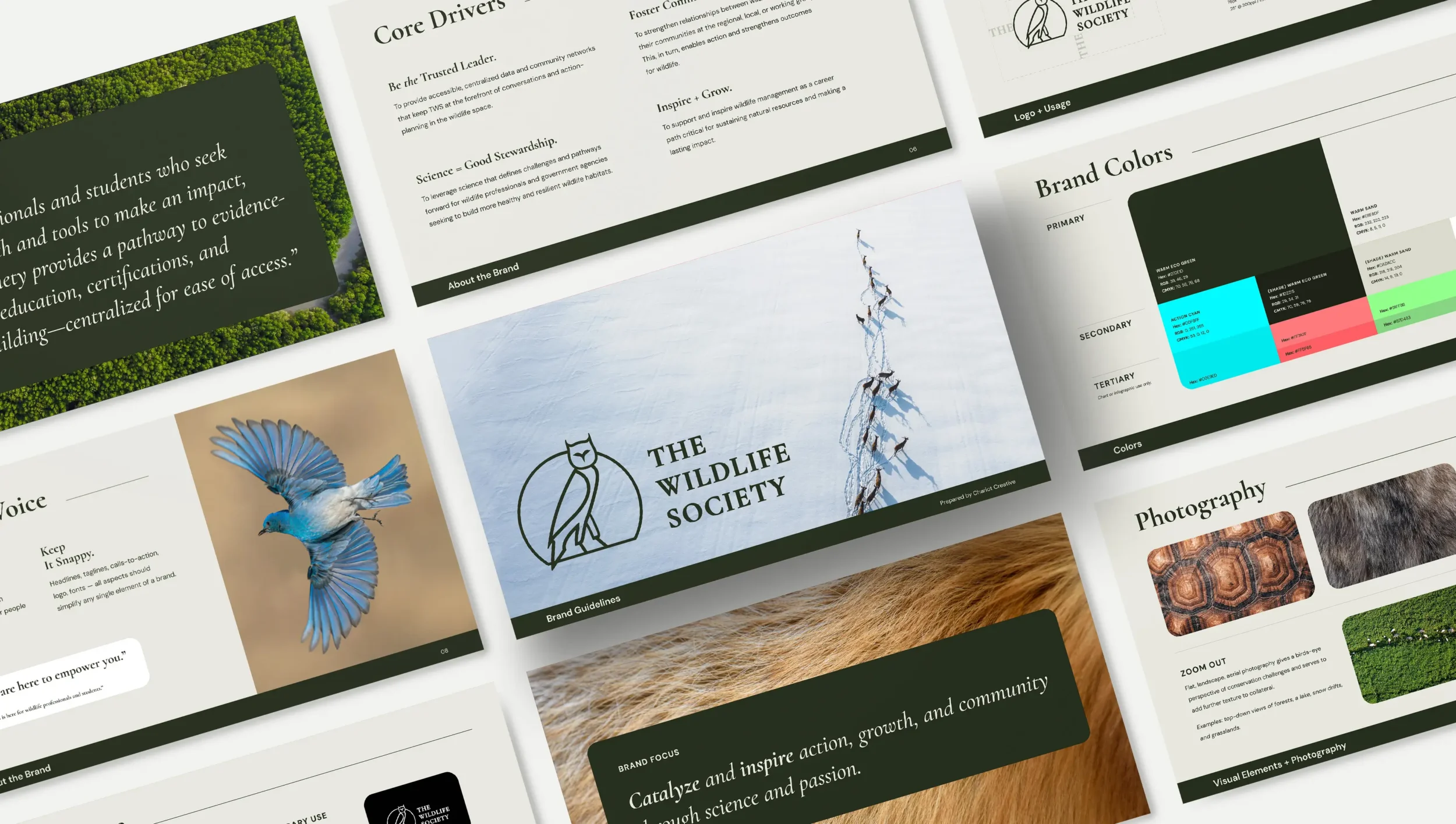 Marketing Agency Brand Guide Mockup showing Chariot's work on The Wildlife Society Branding