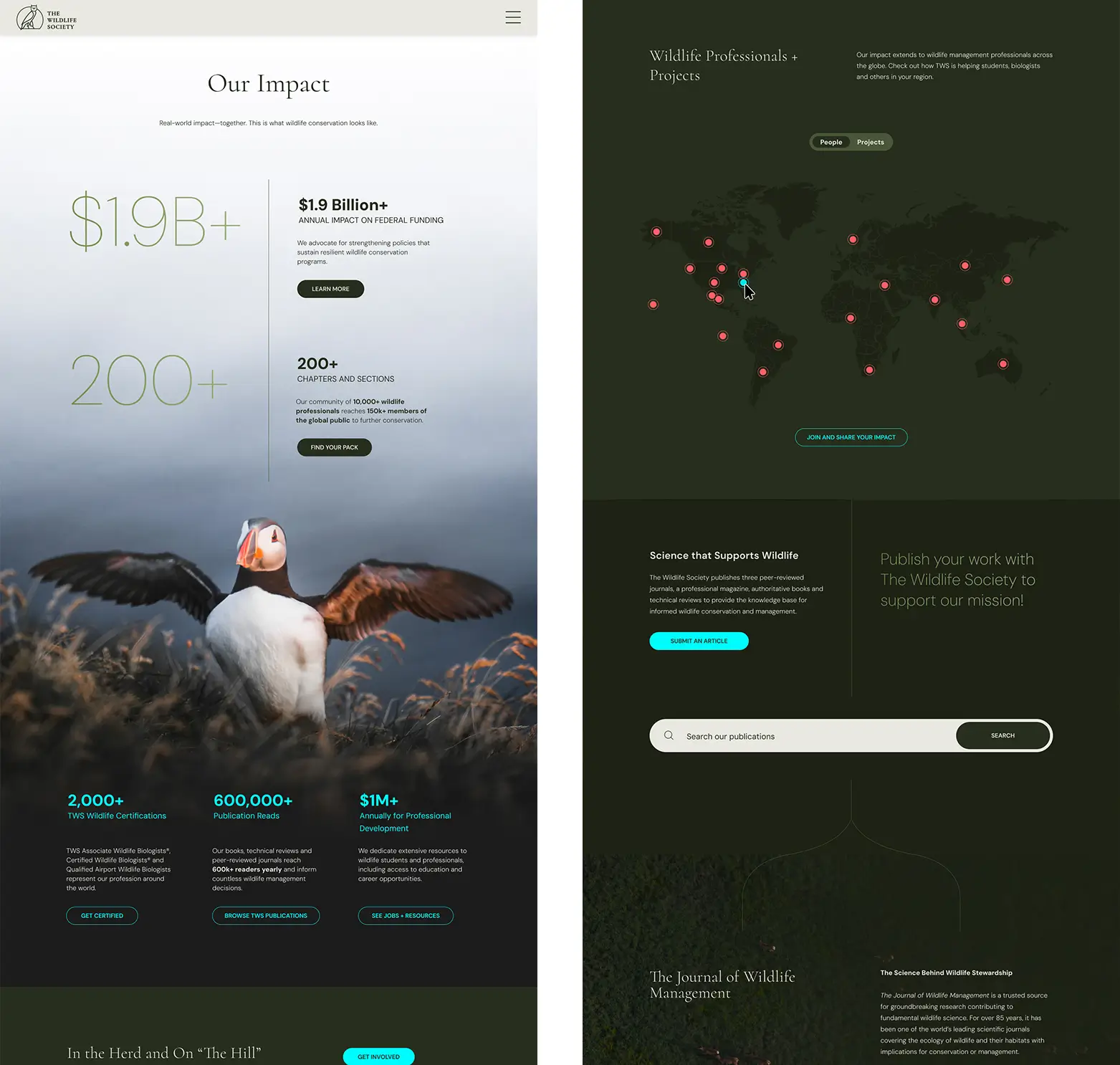 Web Design Examples Case Study Screens Layout