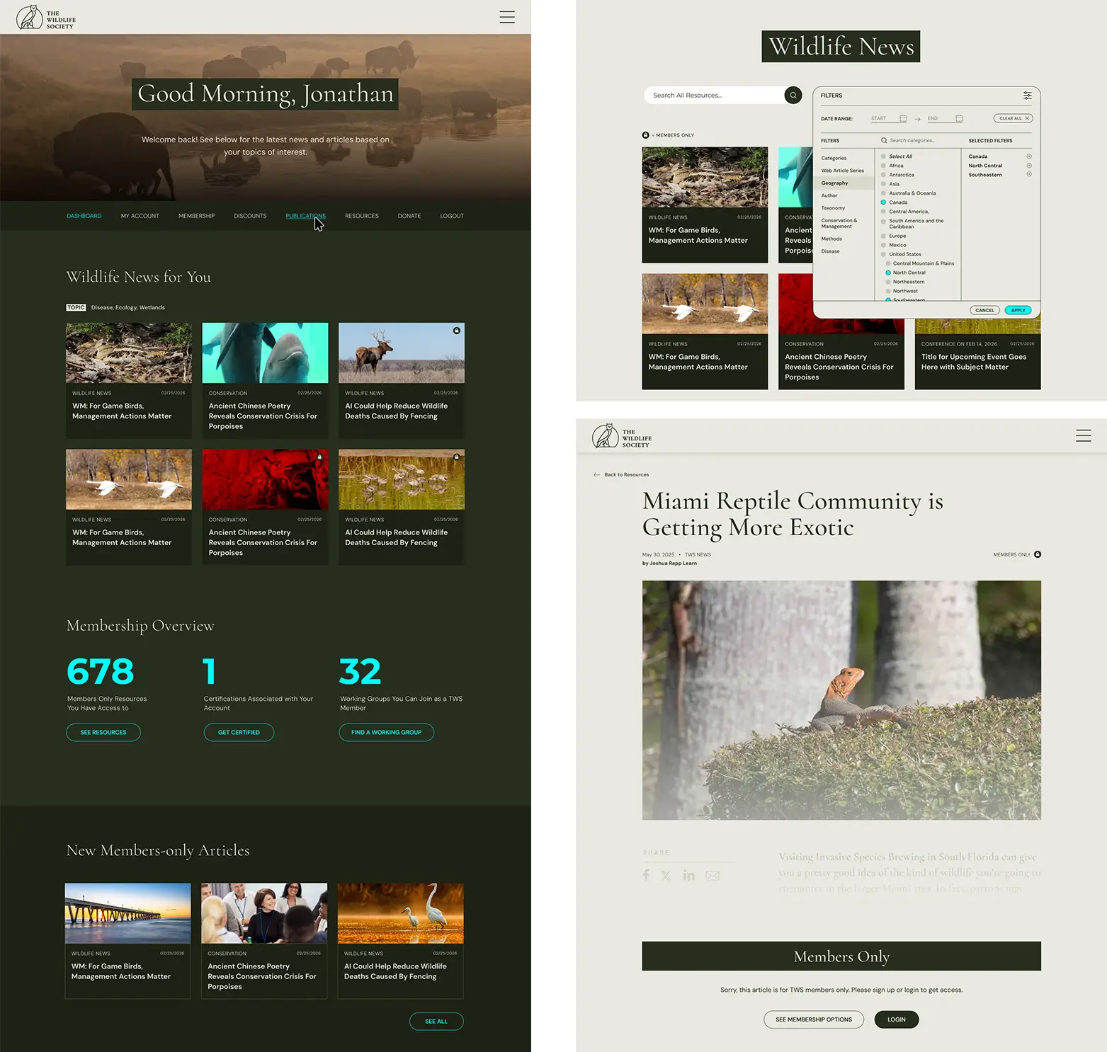 Web Design Member and Resource Library Pages Examples Case Study Screens Layout